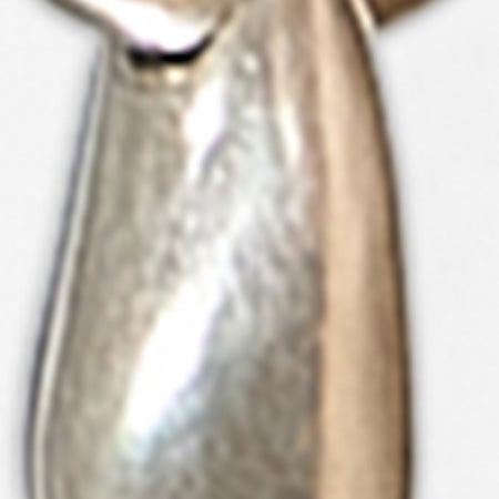 SHINY DAY EARRINGS